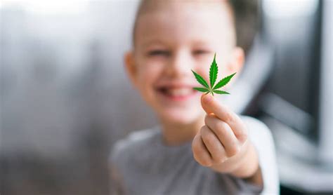 Consumo Marihuana Adolescentes