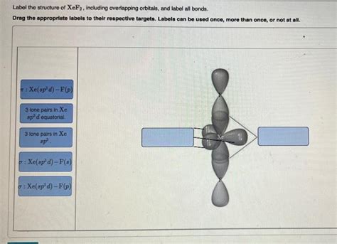 Solved Label The Structure Of Brfs Including Overlapping