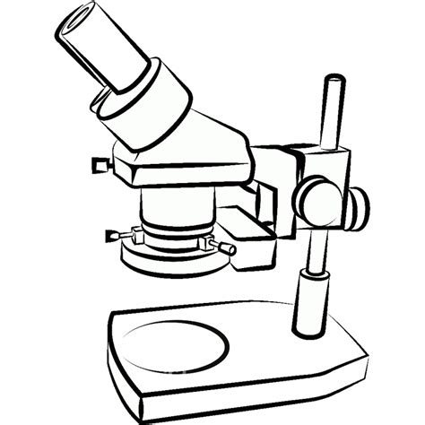 C Mo Dibujar Un Microscopio Con Un L Piz Instrucciones Paso A Paso