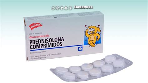 Prednisolona para qué sirve usos beneficios y efectos secundarios