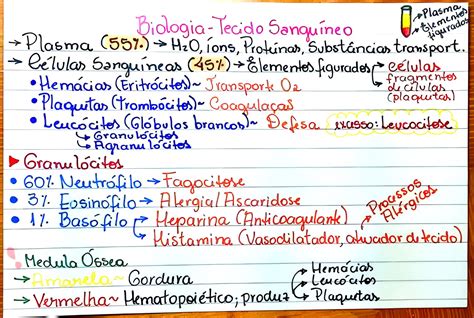 Mapa Mental Sobre Grupos Sangu Neos Maps Study