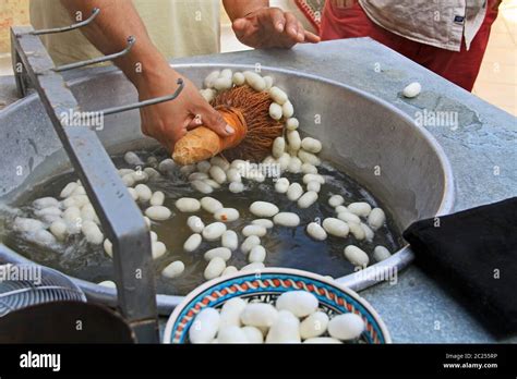 Unraveling White Silkworm Cocoons Floating In Hot Water Stock Photo Alamy