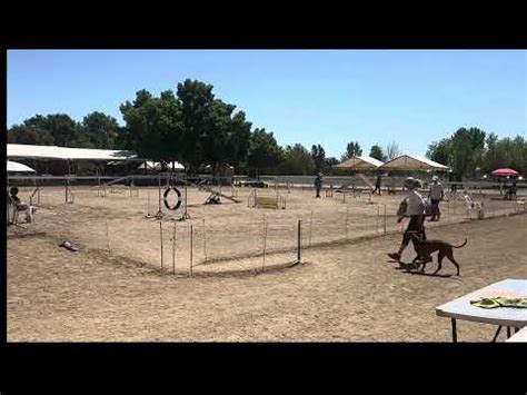 Juice Apr Brookside Equestrian Youtube