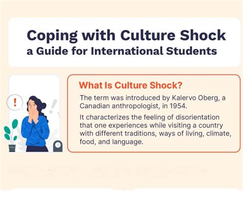 Learn The Main Forms Of Culture Shock That International Students May