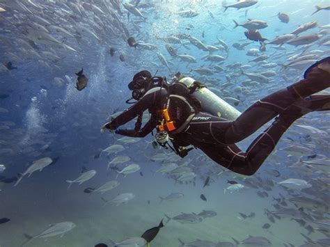 Scuba Diving In Cabo Pulmo Cabo Trek