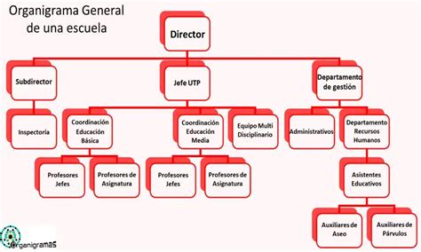Organigrama De La Escuela Primaria