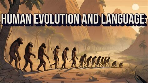 HUMAN EVOLUTION AND LANGUAGE PART 1 Human Evolution Language