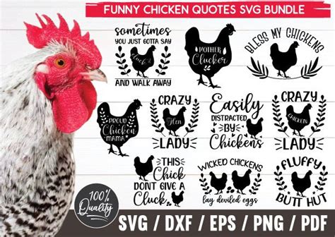 Funny Chicken Quotes Svg Bundle Gráfico por funnySVGmax Creative Fabrica