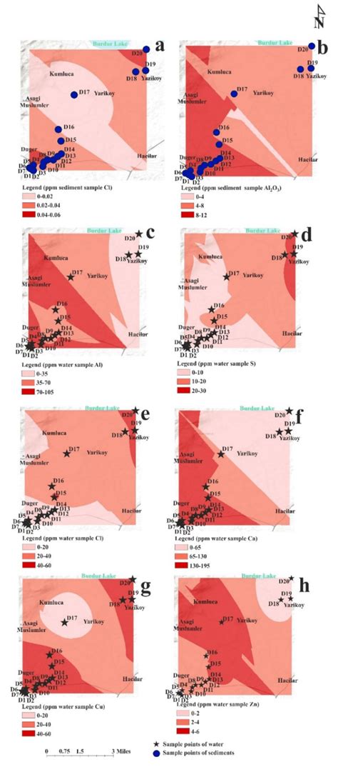 Spatial Distribution Maps Of The Elemental Concentrations A Cl Download Scientific Diagram