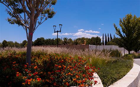 Por Qu Invertir En Un Lote Residencial En Punta Bosque Players Of Life