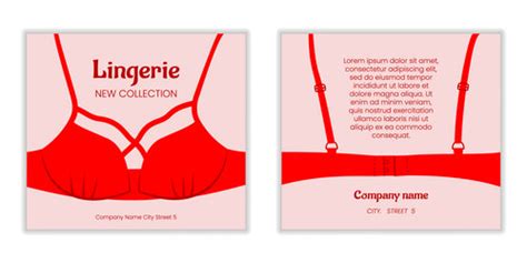 Woman In Bikini Bra And Panties Female Body Vector Image