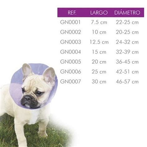 Protector Collar Isabelino De Colores Para Perros Comprar Mejor Precio