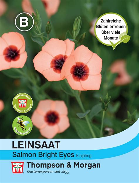 Leinsaat Salmon Bright Eyes Blumensamen Von Thompson And Morgan