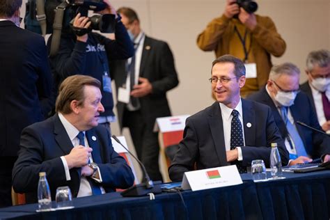 hungarian finance min central european initiative  engine  growth