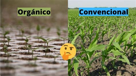 Agricultura Org Nica Vs Convencional Youtube