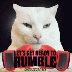 Let S Get Ready To Rumble Gifs Gifdb