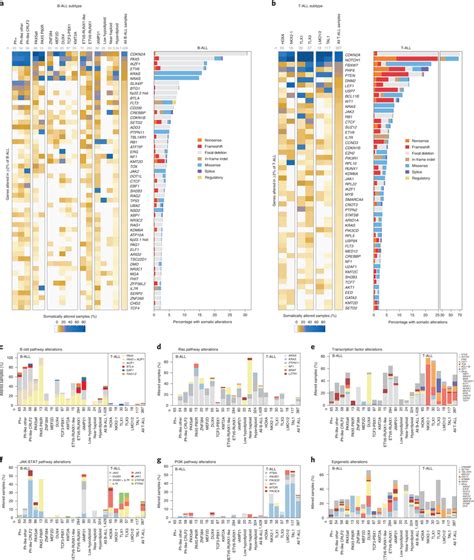 Mutational Landscapes Across All Subtypes A B All Samples With