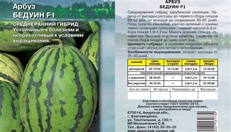 Арбуз Бедуин f1: отзывы о гибриде, его описание, фото кустов и ...