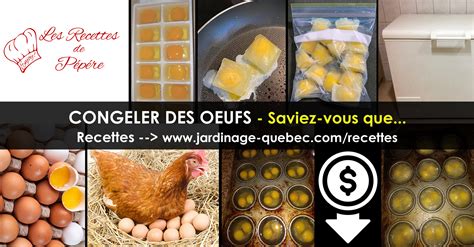 Congeler des Oeufs Recettes de Pépére