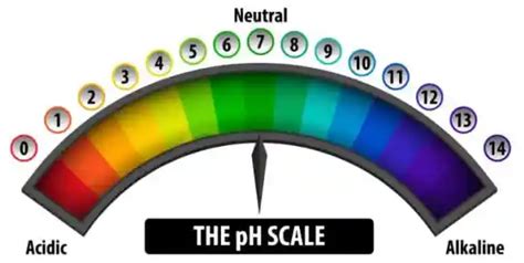 How To Ensure The Correct Ph Levels For Cannabis Plant Growth