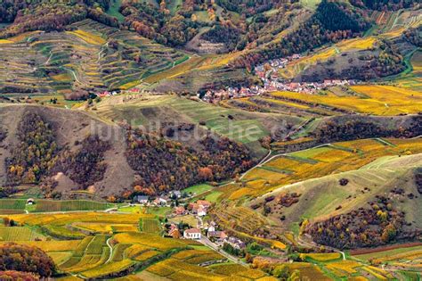 Vogtsburg Im Kaiserstuhl Von Oben Herbstluftbild Dorf Ansicht Am