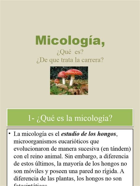 Micología El Estudio De Los Hongos Pdf Hongo Micología