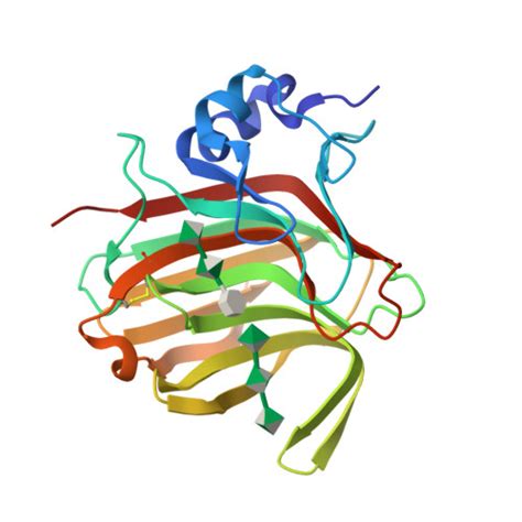 Rcsb Pdb P Crystal Structure Of Paradendryphiella Salina Pl A