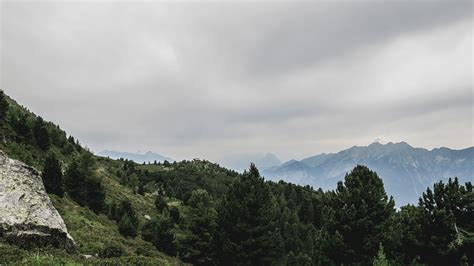 Free Images Tree Nature Forest Wilderness Cloud Sky Meadow