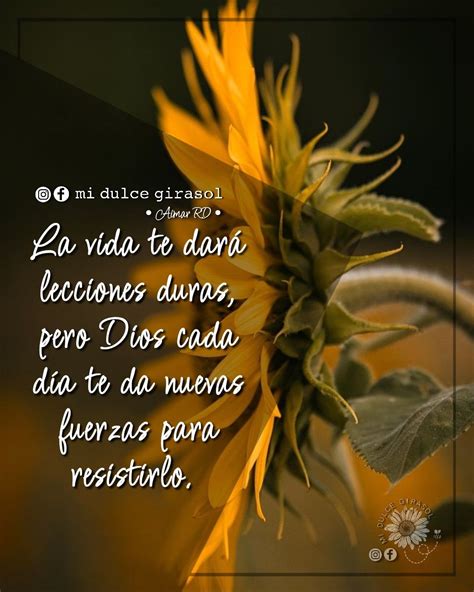 Pin De Mi Dulce Girasol Oficial En Frases De Mi Dulce Girasol Frases