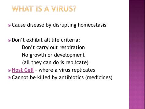 Ppt Bacteria And Virus Powerpoint Presentation Free Download Id1927419