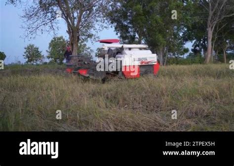 Rice Combine Harvester Kubota DC 70G Plus Transportation Agriculture