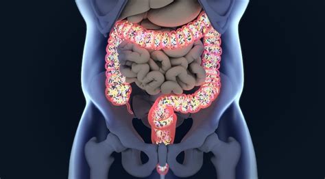 Porque o Microbioma Intestinal é Crucial Para Sua Saúde