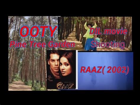 Bollywood Film Ki Shooting Location DIL 1990 RAAZ 2001 Pine Forest