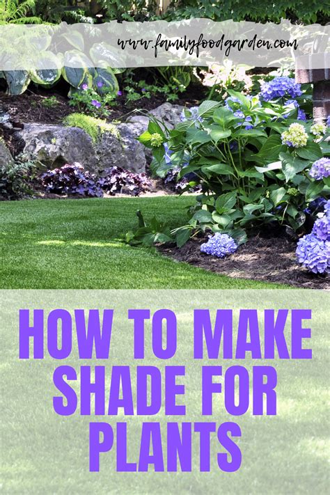 Protect Your Plants from Summer Heat with These Shading Tips