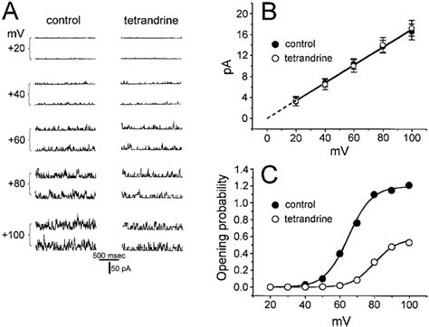 Effect Of Tetrandrine On The Current Voltage Relation Of Bk Ca Channels