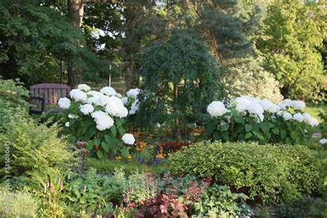 Zdj Cie Stock Garden Landscape On A Summer Day Middle Bed With