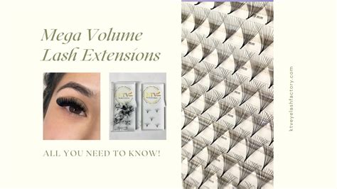 Mega Volume Lash Extensions All You Need To Know