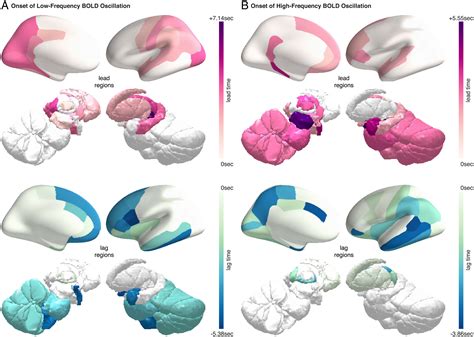 Fmri Spectral Signatures Of Sleep Pnas