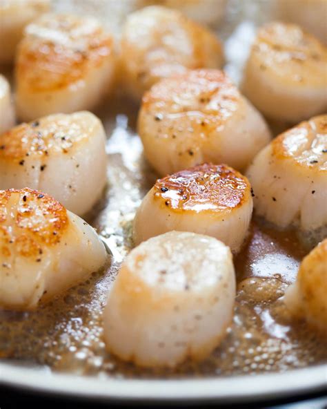 How To Cook Scallops A Step By Step Guide Rijals Blog