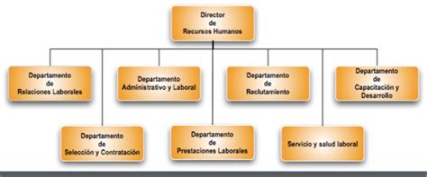 Administraci N De Recursos Humanos Organigrama Departamental