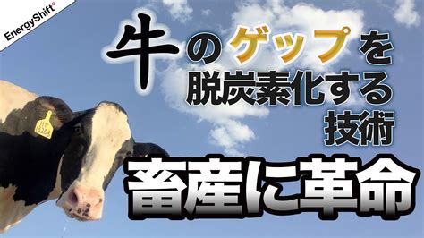 畜産に革命牛のゲップを脱炭素化する YouTube