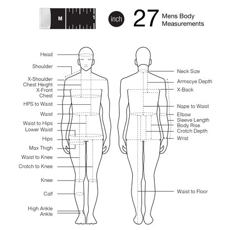 Printable Male Body Measurements Chart