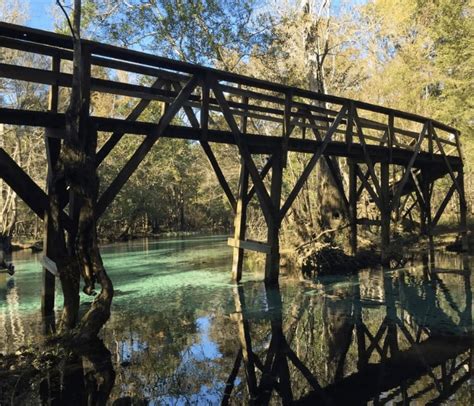 Exploring The Wonders Of Blue Spring State Park A Comprehensive Guide