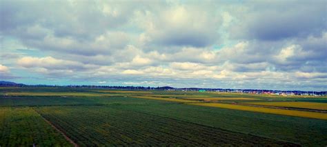 champaign harvest autumn  photo  pixabay pixabay