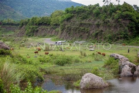 Potensi Wisata Alam Ranu Mandulo Mojokerto Antara Foto