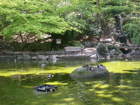 Lithia Park Ashland 2018 All You Need To Know Before You Go With Photos Tripadvisor