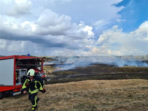 Einsatz 17 2022 Brand Ödland Feuerwehr Brachwitz