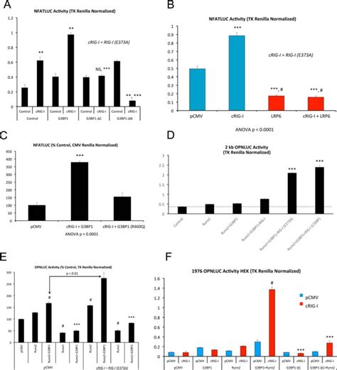 A Gtpase Activating Protein Binding Protein G3bp1antiviral Protein