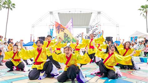 4k 和歌山大学よさこいサークル「和歌乱」 大阪ベイエリア祭worldあぽろん 2024 中央 Youtube