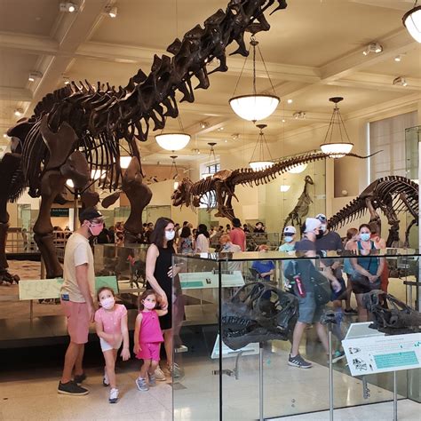 American Museum of Natural History Tickets | Tiqets